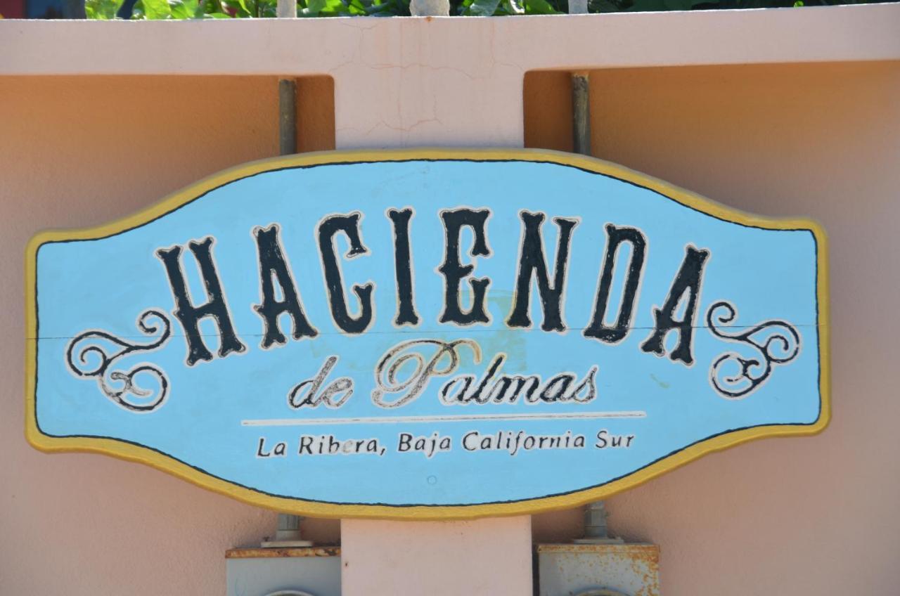 Hacienda De Palmas Bed and Breakfast La Ribera Εξωτερικό φωτογραφία