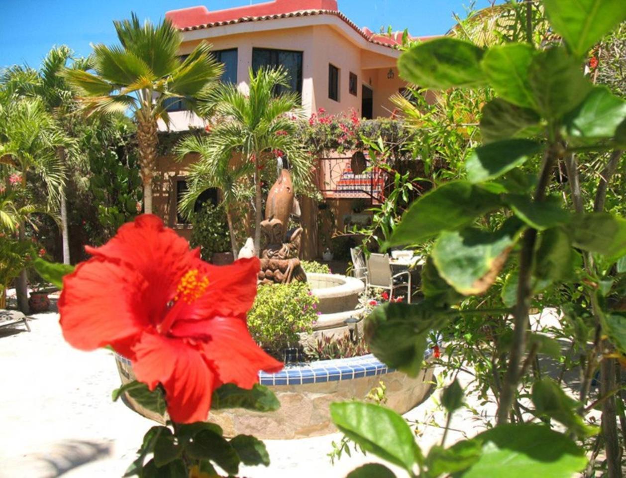 Hacienda De Palmas Bed and Breakfast La Ribera Εξωτερικό φωτογραφία